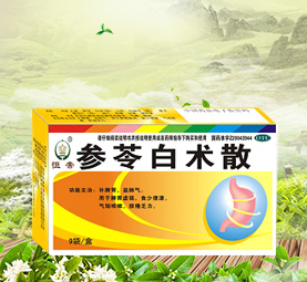 参苓白术散