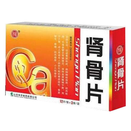 肾骨片