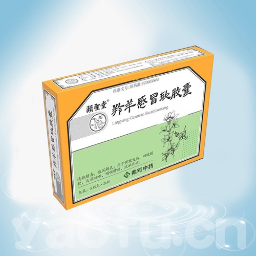 頤聖堂®羚羊感冒软胶囊