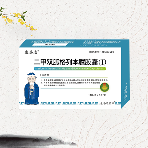 二甲双胍格列本脲胶囊（1）