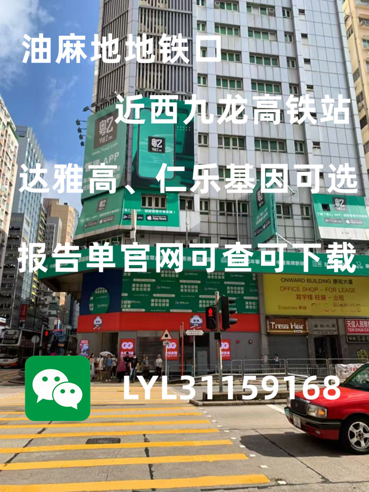 香港查血中介信得过吗？