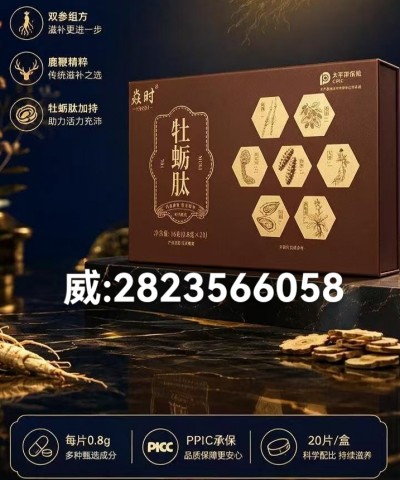 2026全新升级版｜.