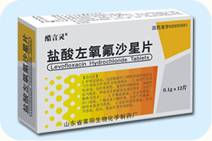 盐酸左氧氟沙星片（12）