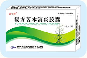 复方苦木消炎胶囊（24）